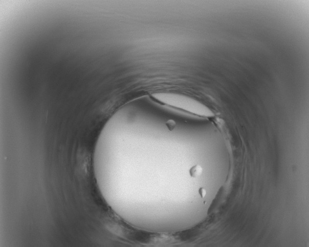 X0000066940125200604142033