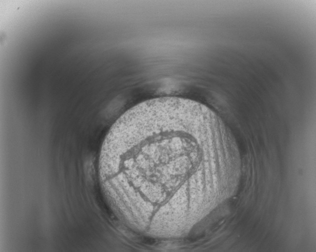 X0000066940127200604142033