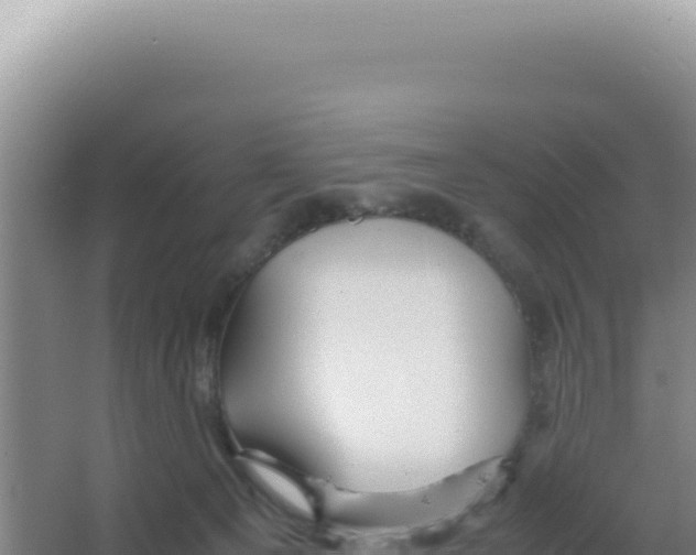 X0000066940129200604142033