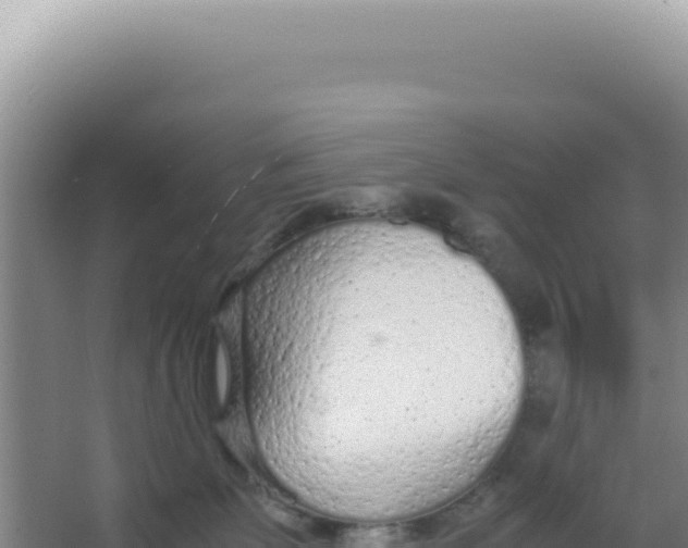 X0000066940131200604142033