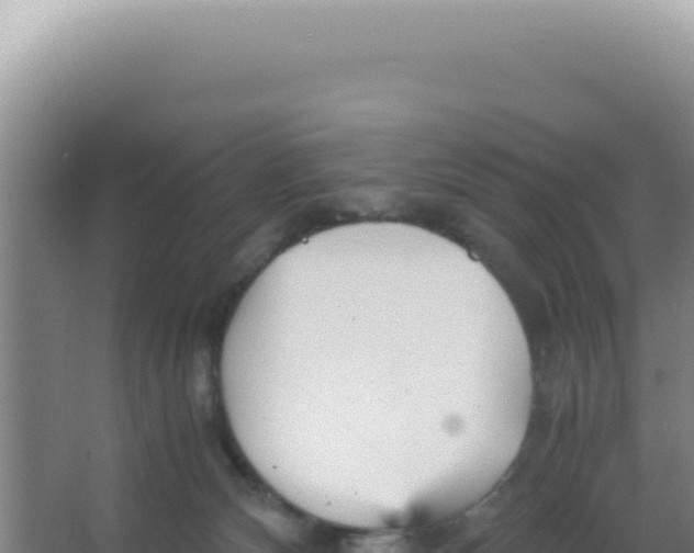 X0000066940132200604142033