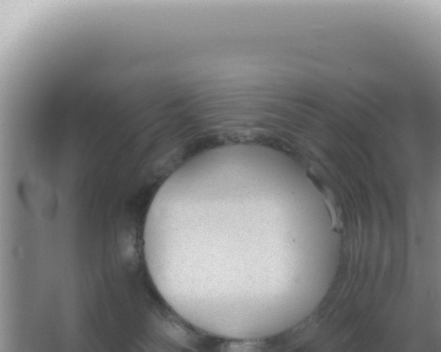 X0000066940134200604142033