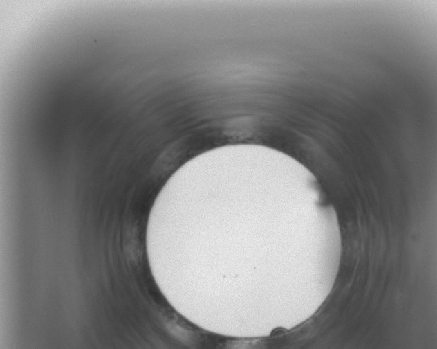 X0000066940136200604142033