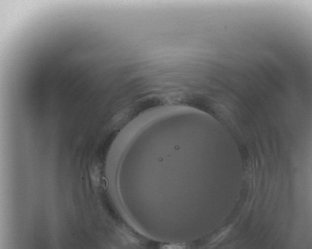 X0000066940139200604142033