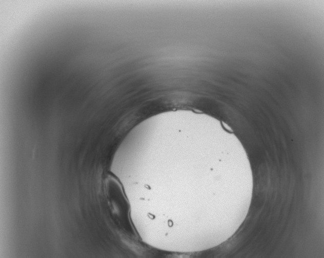 X0000066940140200604142033