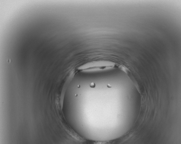 X0000066940141200604142033