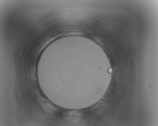 X0000066940146200604142032