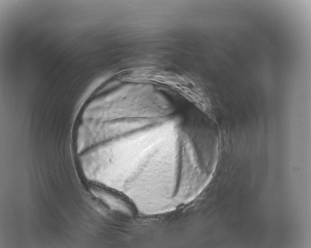 X0000066940147200604142032