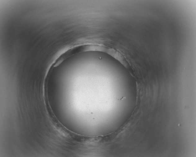 X0000066940148200604142032