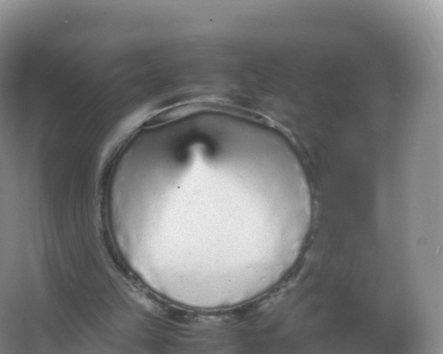 X0000066940149200604142032