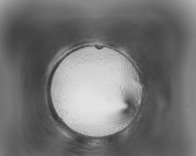 X0000066940151200604142032