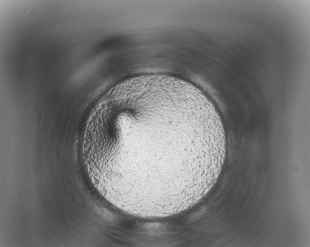 X0000066940153200604142032