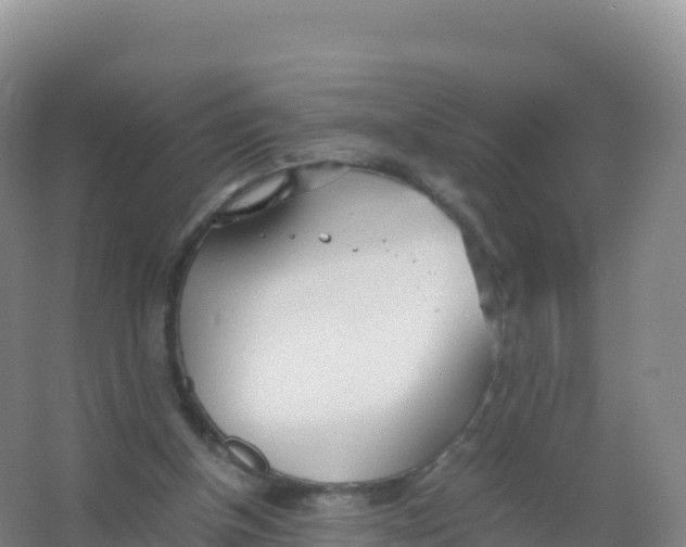 X0000066940154200604142032