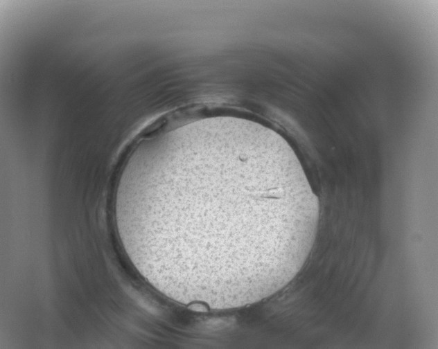 X0000066940155200604142032