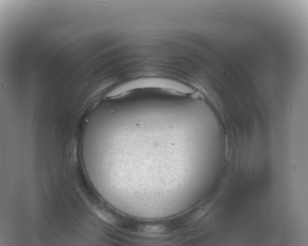 X0000066940157200604142032