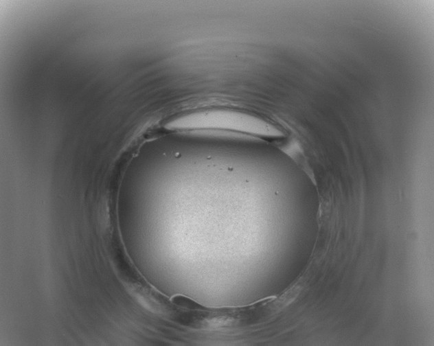 X0000066940158200604142032