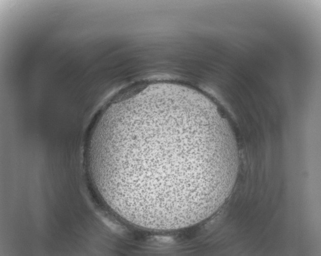 X0000066940159200604142032