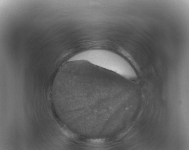 X0000066940161200604142033