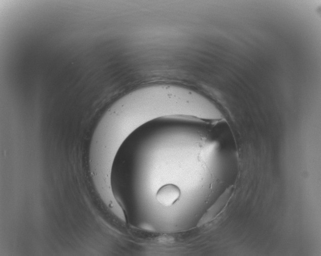 X0000066940162200604142033