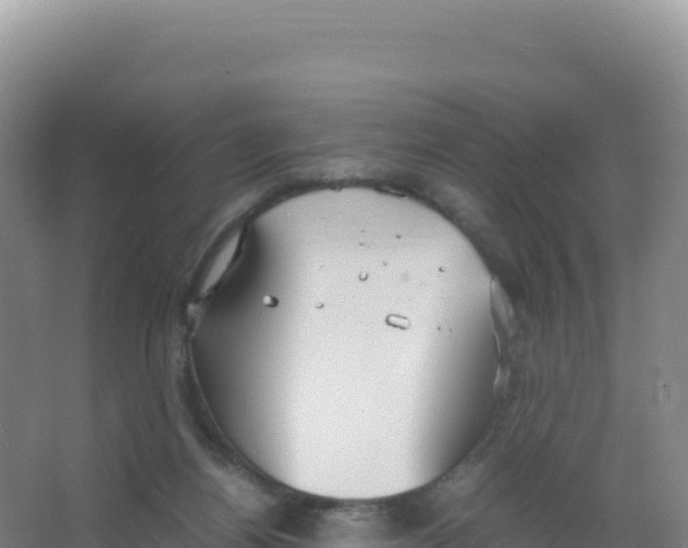 X0000066940164200604142033