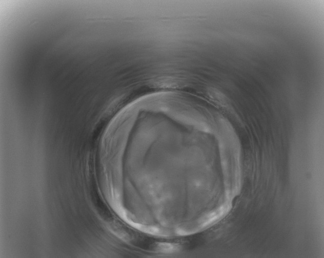 X0000066940167200604142033