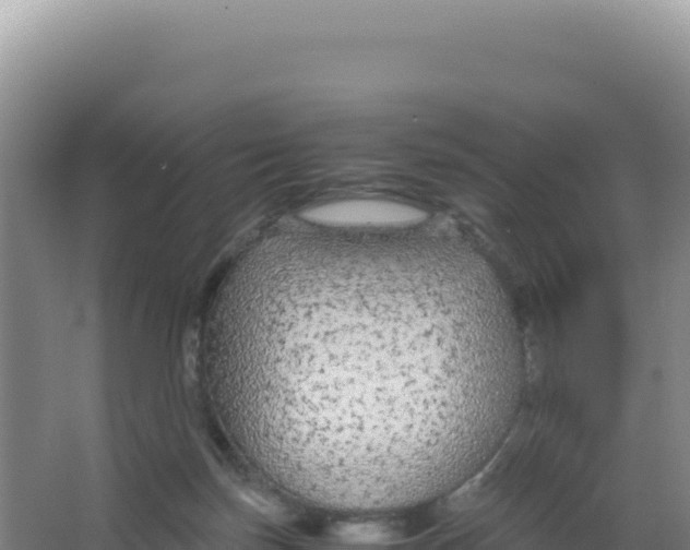 X0000066940171200604142033