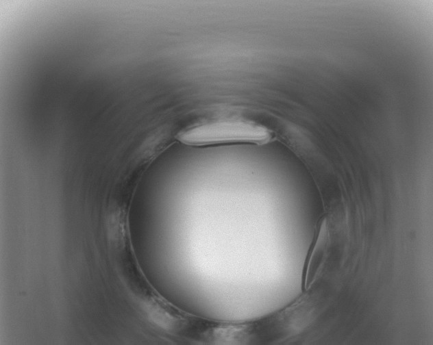 X0000066940172200604142033