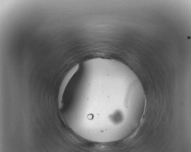 X0000066940174200604142033