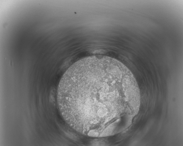 X0000066940175200604142033