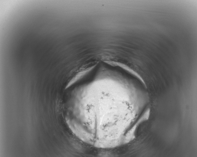 X0000066940177200604142033