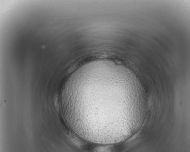 X0000066940178200604142033