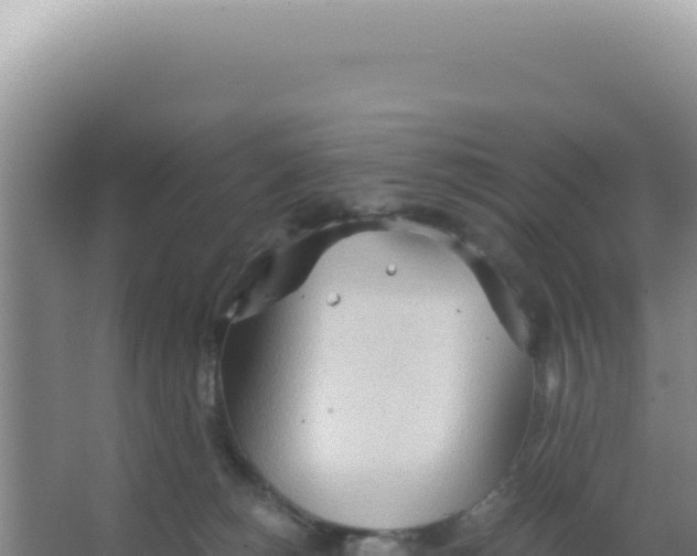 X0000066940180200604142033