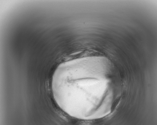 X0000066940182200604142033