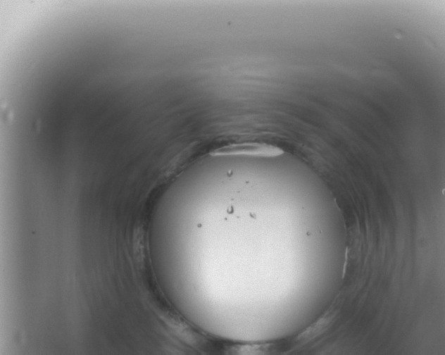 X0000066940184200604142033