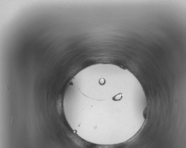 X0000066940190200604142033