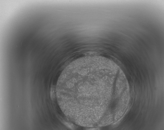 X0000066940191200604142033