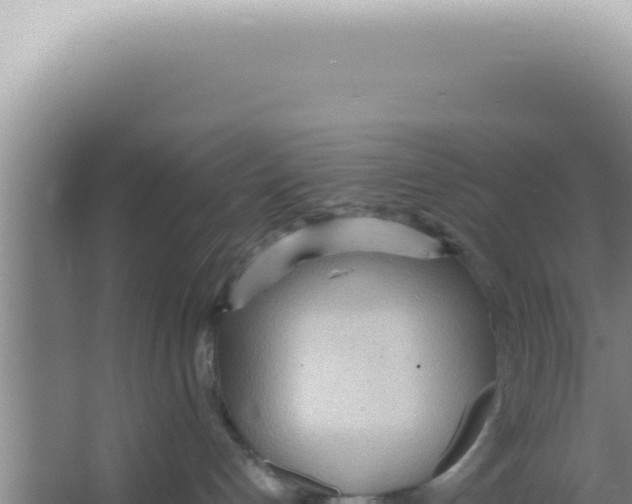 X0000066940192200604142033