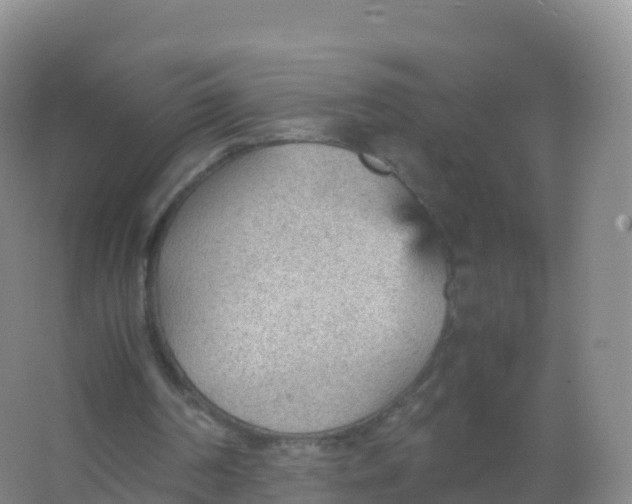 X0000066940194200604142032