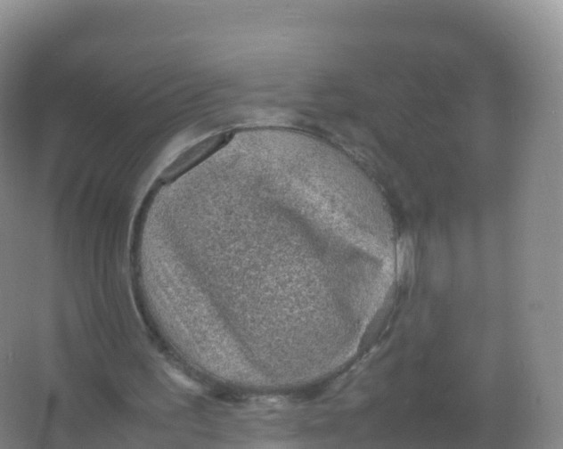 X0000066940195200604142032