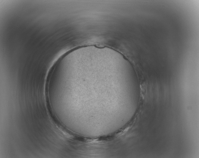 X0000066940196200604142032