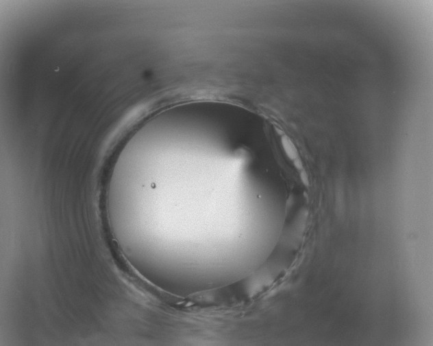 X0000066940197200604142032