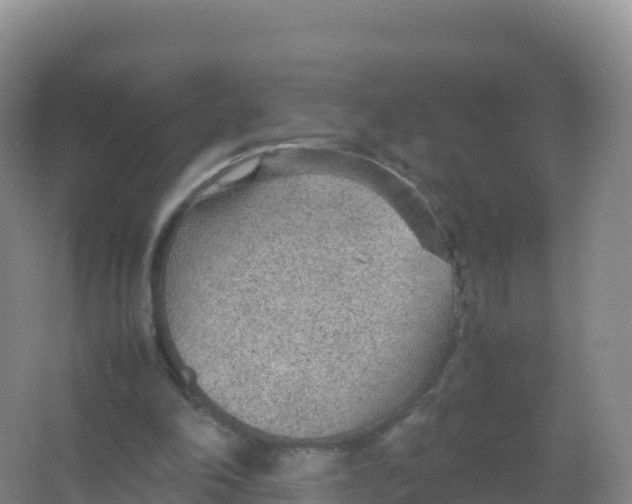 X0000066940198200604142032