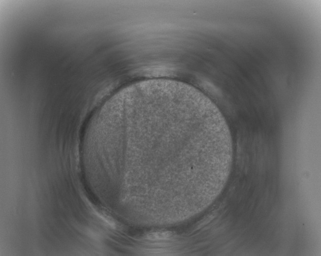 X0000066940202200604142032