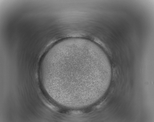 X0000066940203200604142032