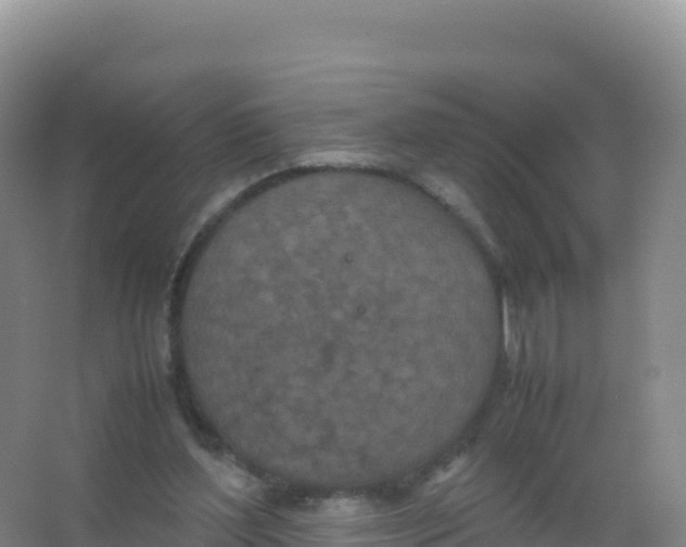 X0000066940204200604142032