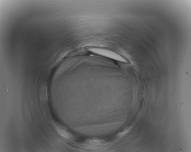 X0000066940205200604142032