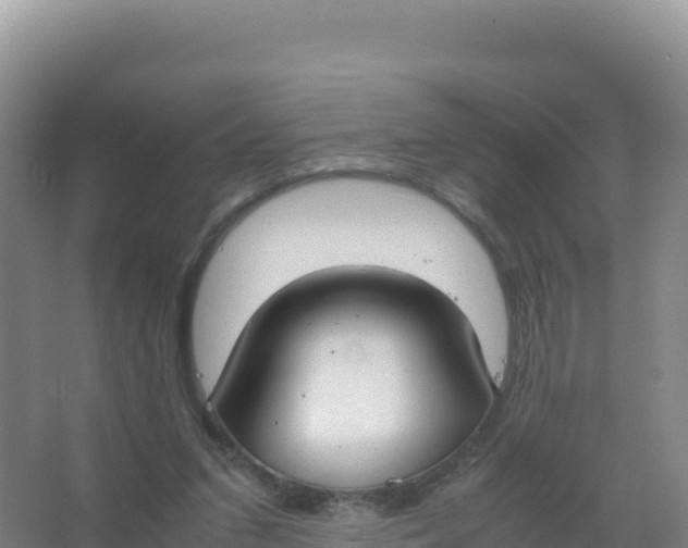 X0000066940207200604142032