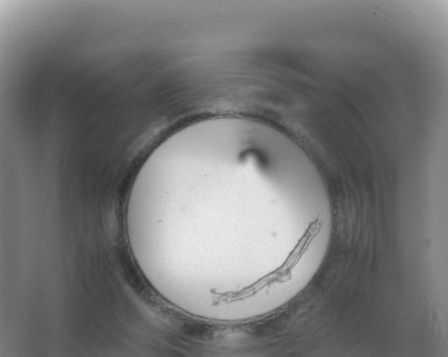 X0000066940208200604142032