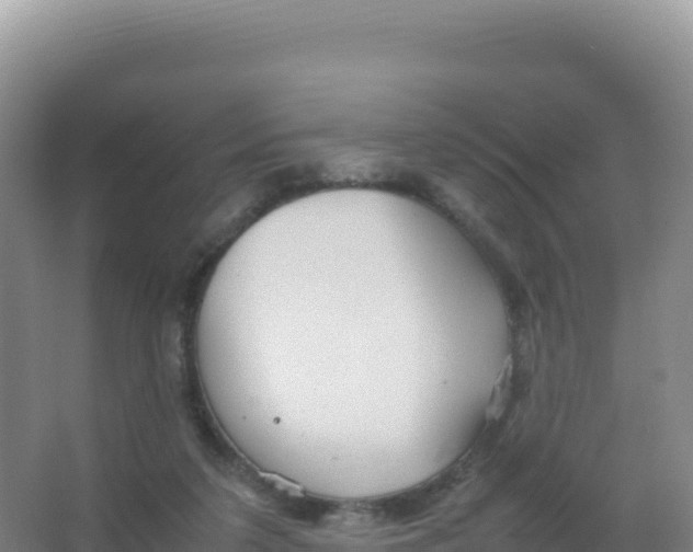 X0000066940211200604142032