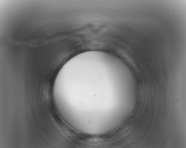 X0000066940212200604142032